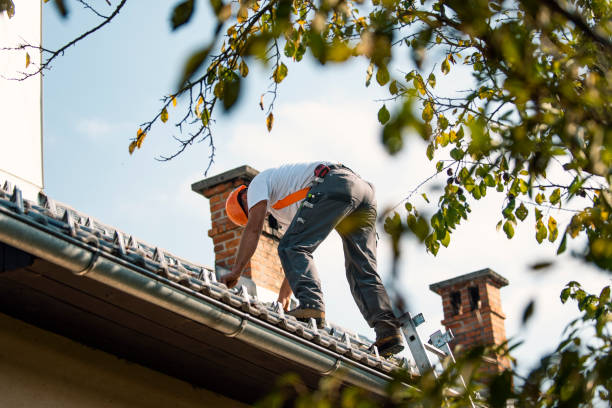 Best New Roof Installation  in Mcminnville, OR